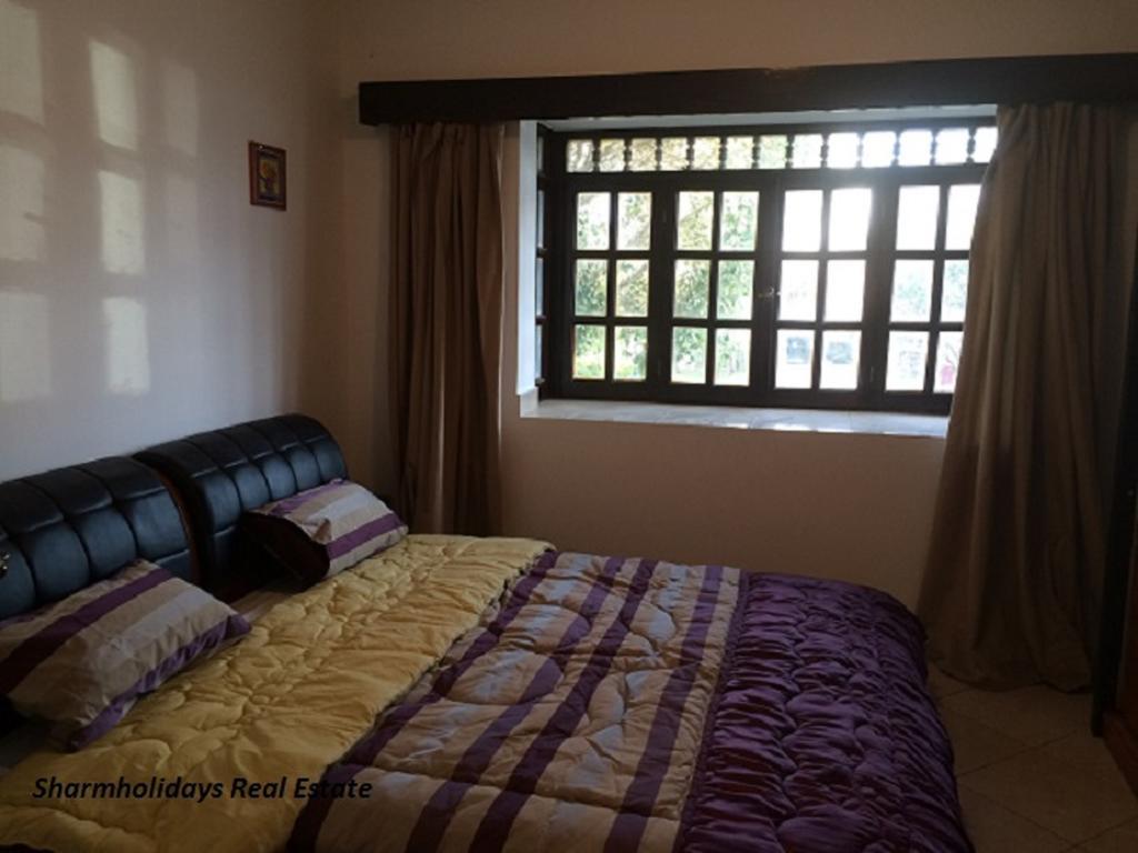 Sharm Holidays Real Estate Номер фото