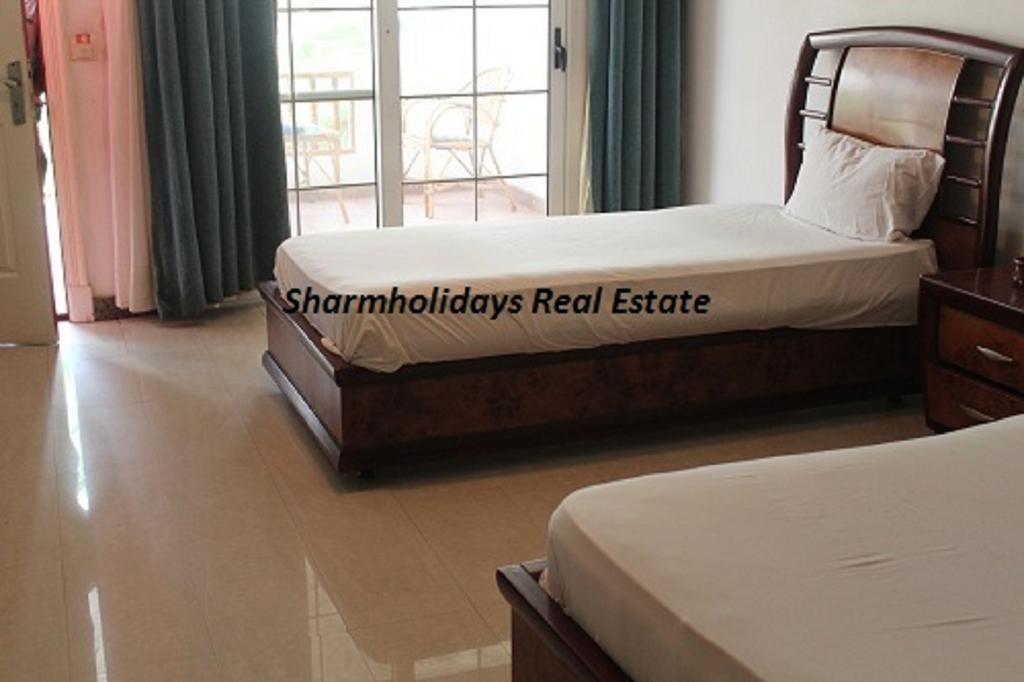 Sharm Holidays Real Estate Номер фото